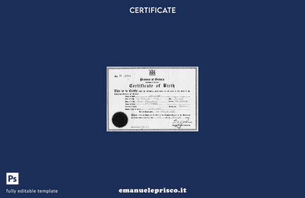 stile verificato Modello di certificato di nascita generale del vice cancelliere